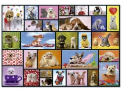 Puzzle 1000 Momentos Compartidos De 68x48 Cm Educa 15518 -Educa Borras Ventas 13311g01