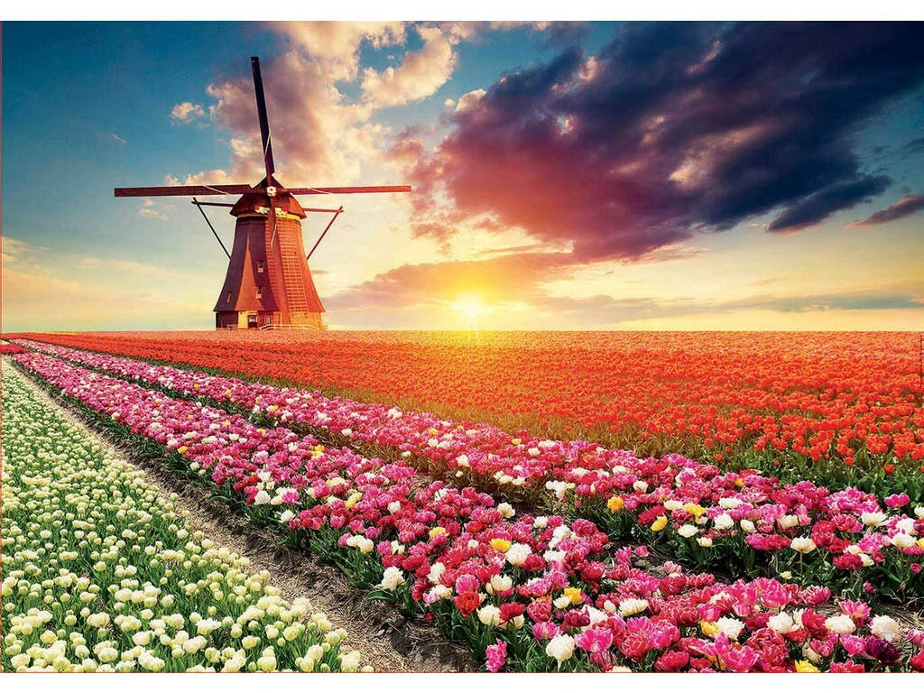 Puzzle 1500 Paisaje De Tulipanes Educa 18465 4 Puzzle 1500 Paisaje De Tulipanes Educa 18465 - Imagen 2