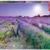 Puzzle 1000 Bicicleta En Campo De Lavanda Educa 19255 -Educa Borras Ventas 1999963463g00