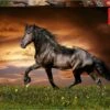 Puzzle 1000 Caballo Al Trote Educa 19555 1 Puzzle 1000 Caballo Al Trote Educa 19555 -Educa Borras Ventas 1999969408g00