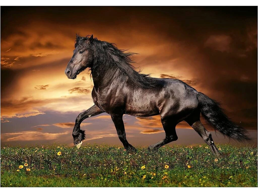 Puzzle 1000 Caballo Al Trote Educa 19555 4 Puzzle 1000 Caballo Al Trote Educa 19555 - Imagen 2