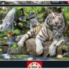 PUZZLE 1000 Tigres Blancos De Bengala 68x48 Cm EDUCA 14808 2 PUZZLE 1000 Tigres Blancos De Bengala 68x48 Cm EDUCA 14808 -Educa Borras Ventas 8955g00