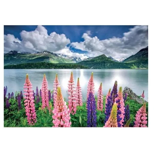 Educa Borrás - Altramuces A Orillas Del Lago Sils, Suiza - Puzzle 1500 Piezas 4 Educa Borrás - Altramuces A Orillas Del Lago Sils, Suiza - Puzzle 1500 Piezas - Imagen 2